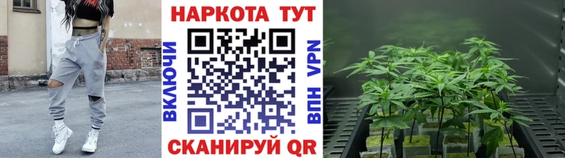 Купить наркотики Курчатов A PVP АМФ Кокаин ГАШИШ