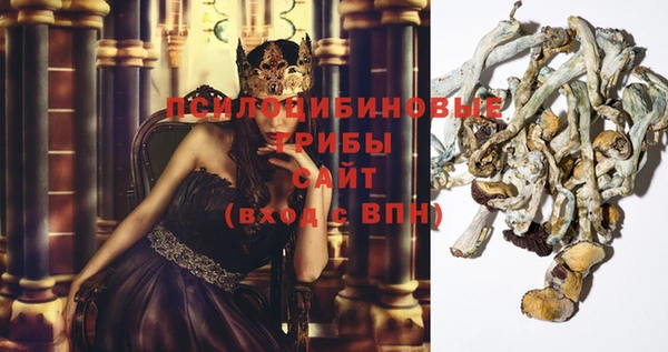 хмурый Абинск