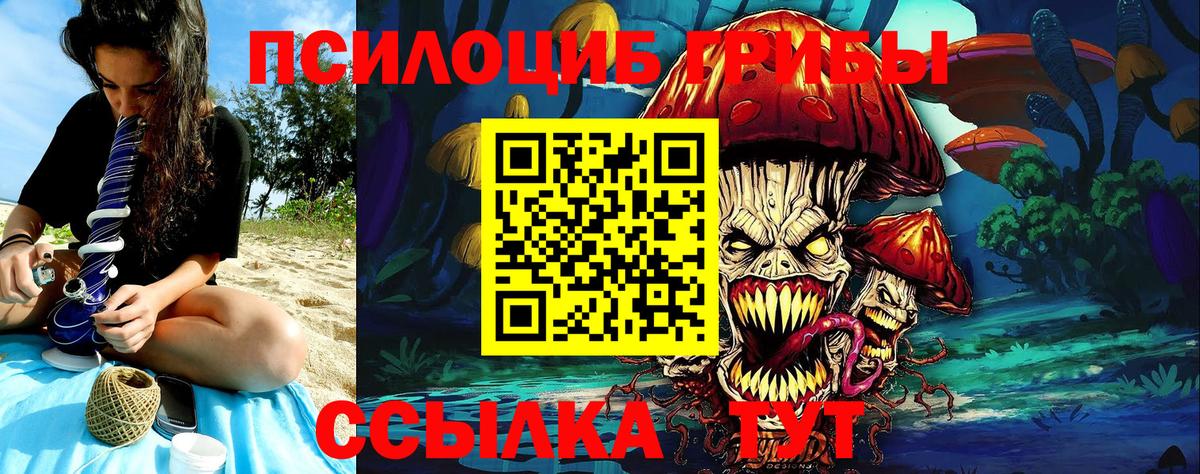 Курчатов  Псилоцибиновые грибы Psilocybe  закладки  Вход с VPN 