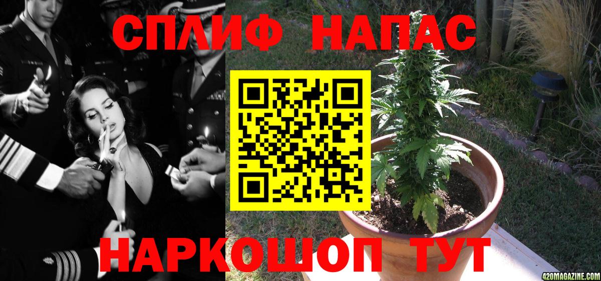 Бошки марихуана гибрид  Вход с VPN  Курчатов  Каннабис сатива  Бошки Шишки конопля 